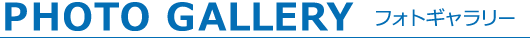 PHOTO GALLERY フォトギャラリー