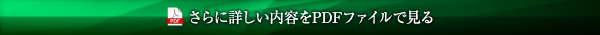 さらに詳しい内容をPDFファイルで見る