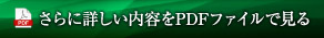 さらに詳しい内容をPDFファイルで見る